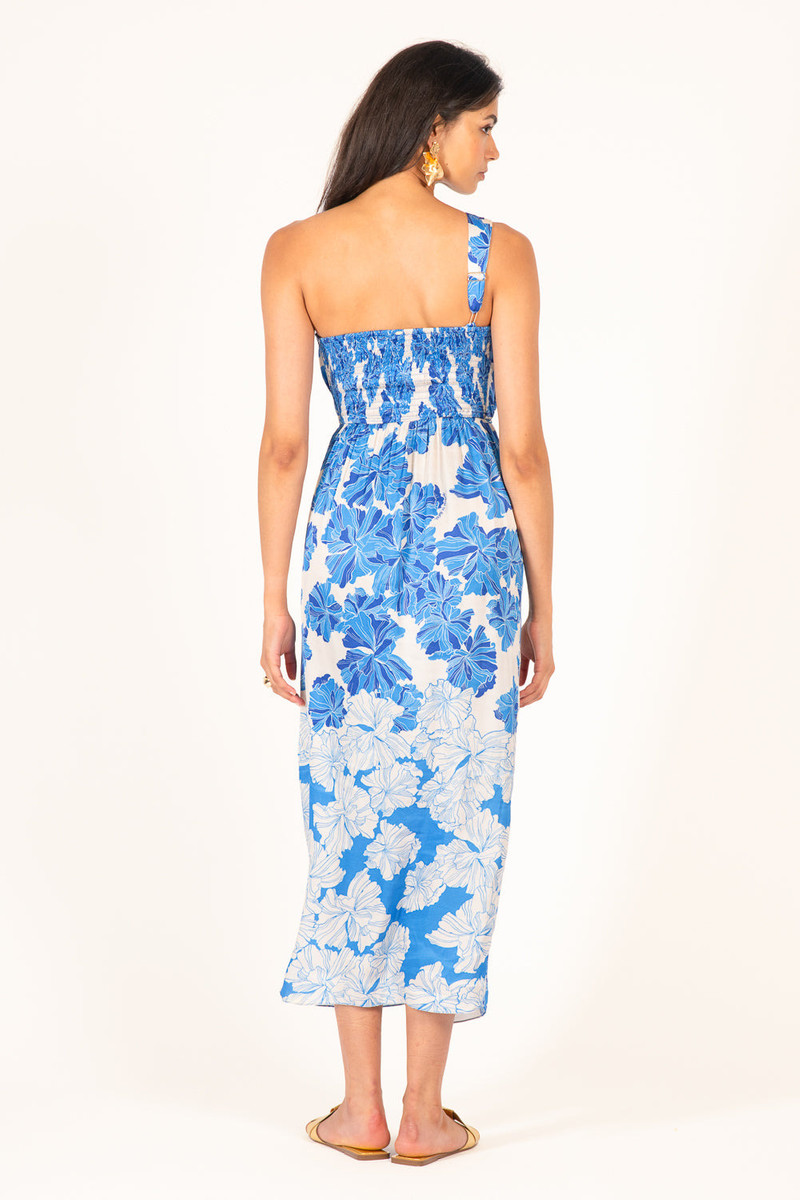 Long Dress Fanny - Blue Flower Bunch 7