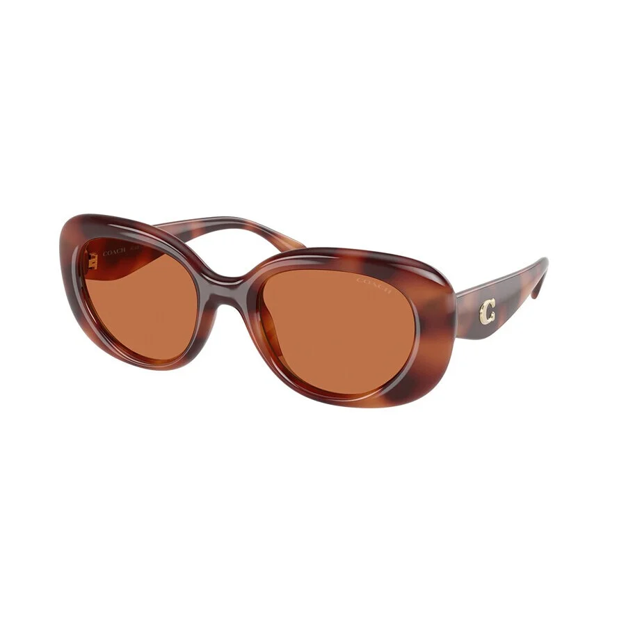 Coach Brown Oval Ladies Sunglasses HC8391U 577473 53 - 1