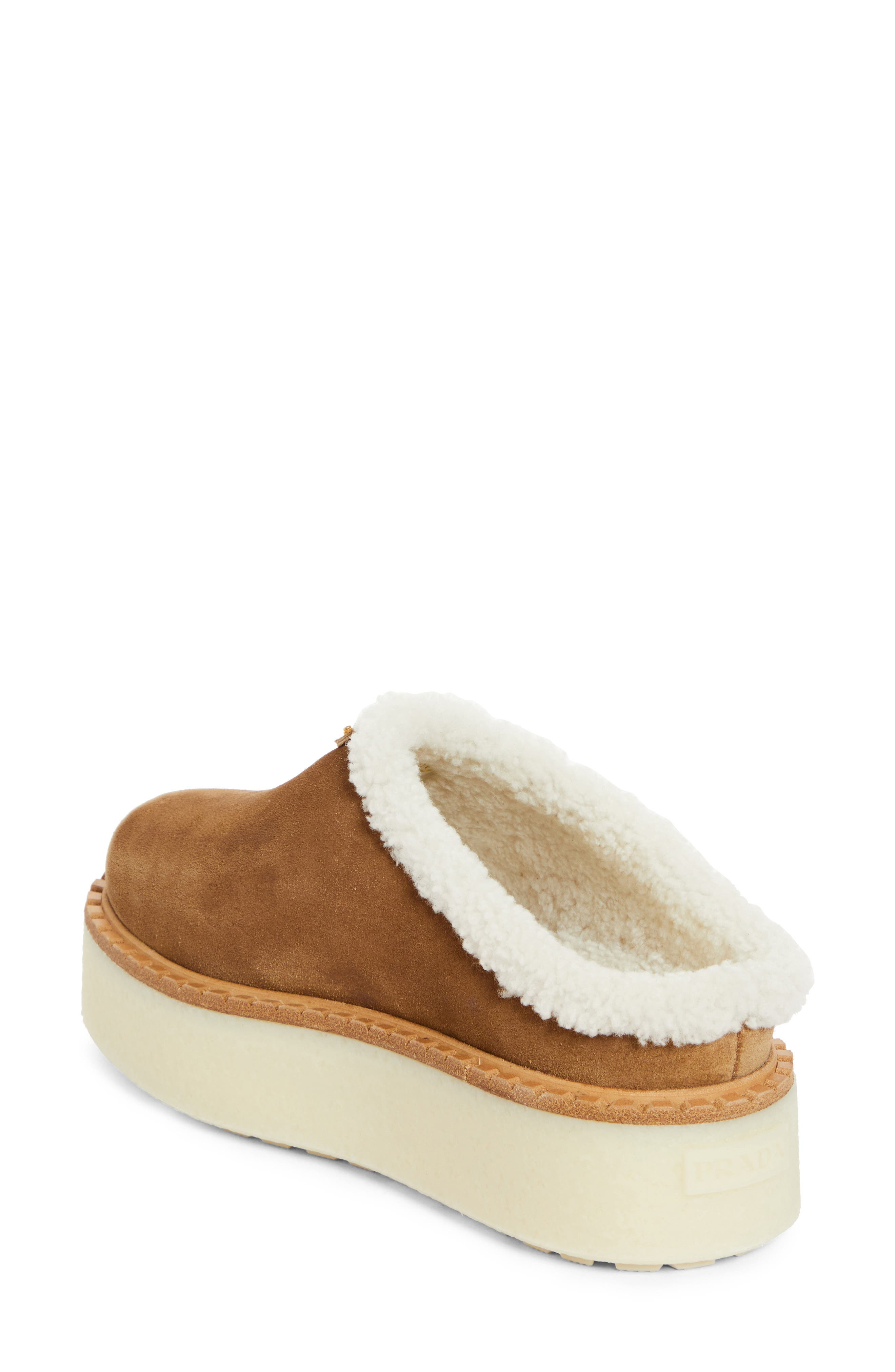 Prada Evolve Genuine Shearling Clog in Cannella at Nordstrom - 2