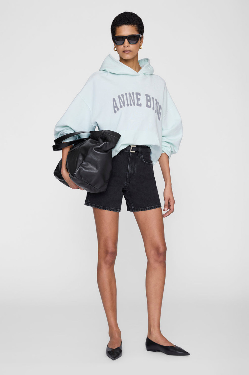 ANINE BING Harvey Sweatshirt - Spring Mint outlook