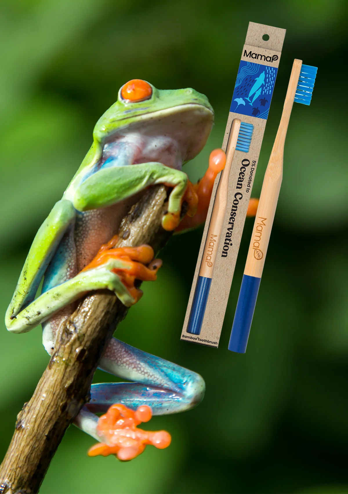 Blue Bamboo Toothbrush | MamaP - 1