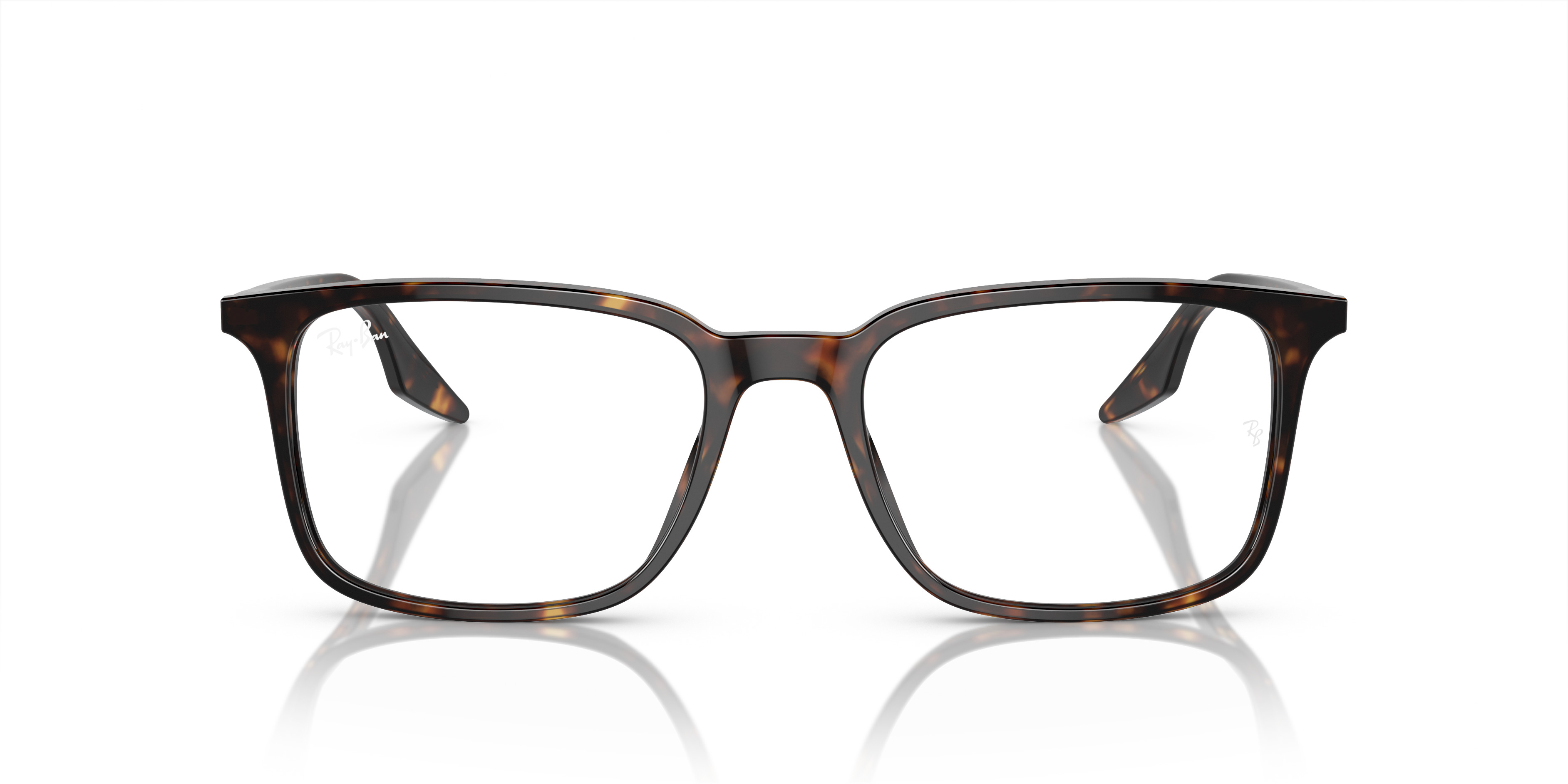 RB5421 OPTICS - 4