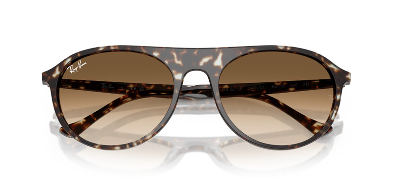 Ray-Ban RB2215 outlook