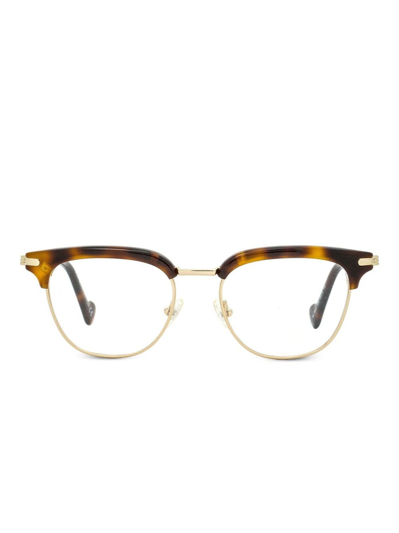Tortoiseshell detailing frames 1