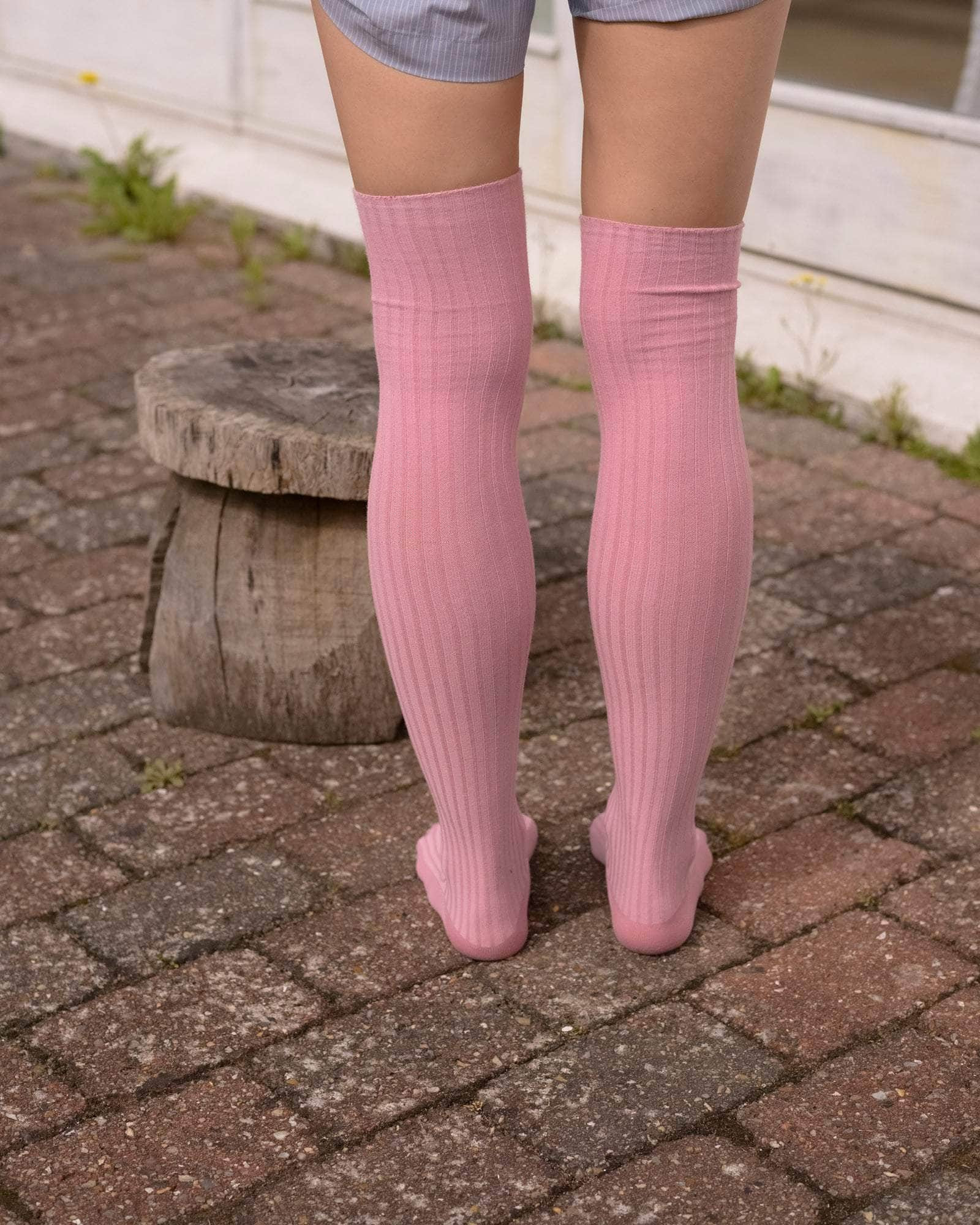 Overknee Socks - Organic Cotton Rib - 4