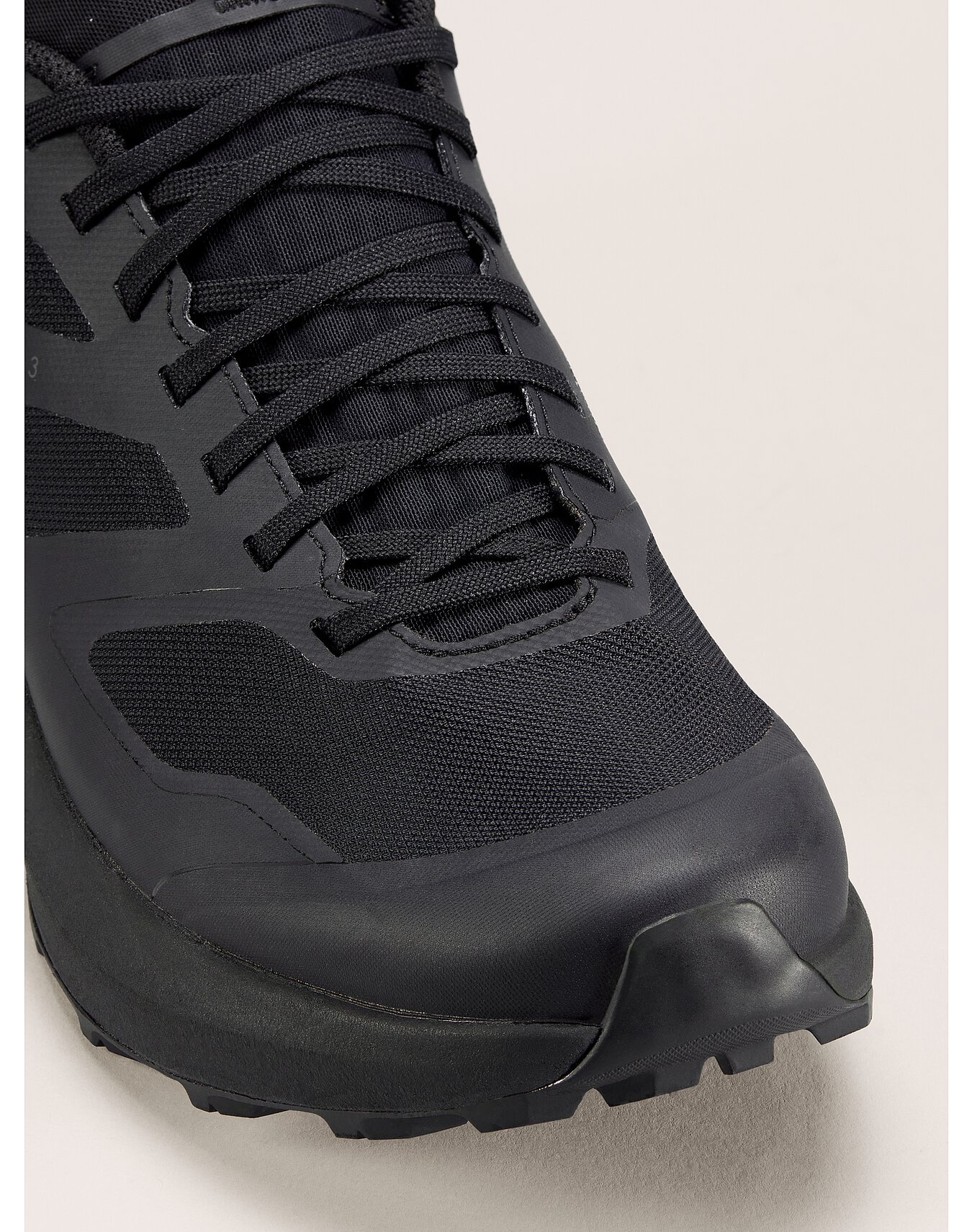 Norvan LD 3 GTX Shoe - 2