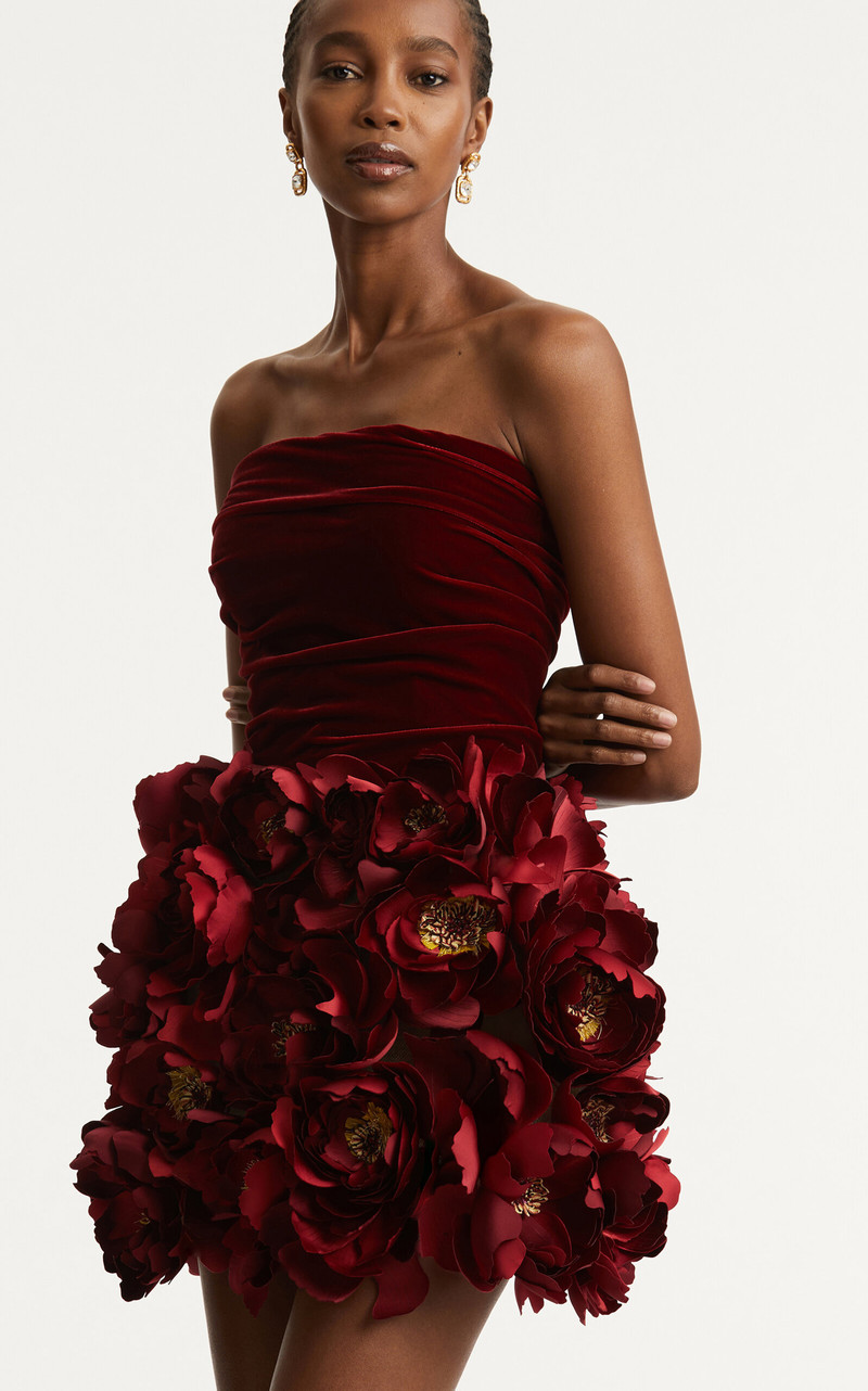 Floral-Appliquéd Velvet Mini Dress red 6