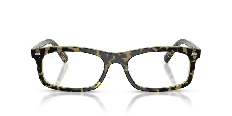 RB5450 OPTICS 4
