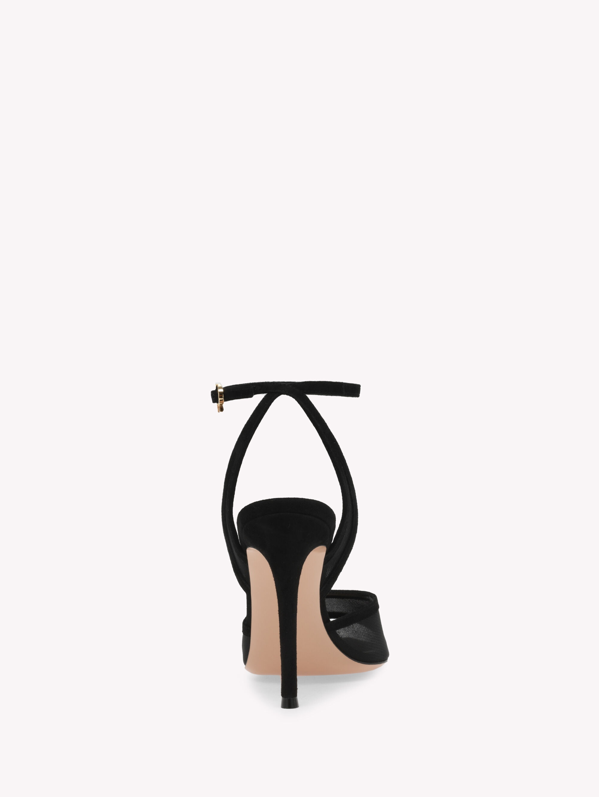 DOROTEA - 4
