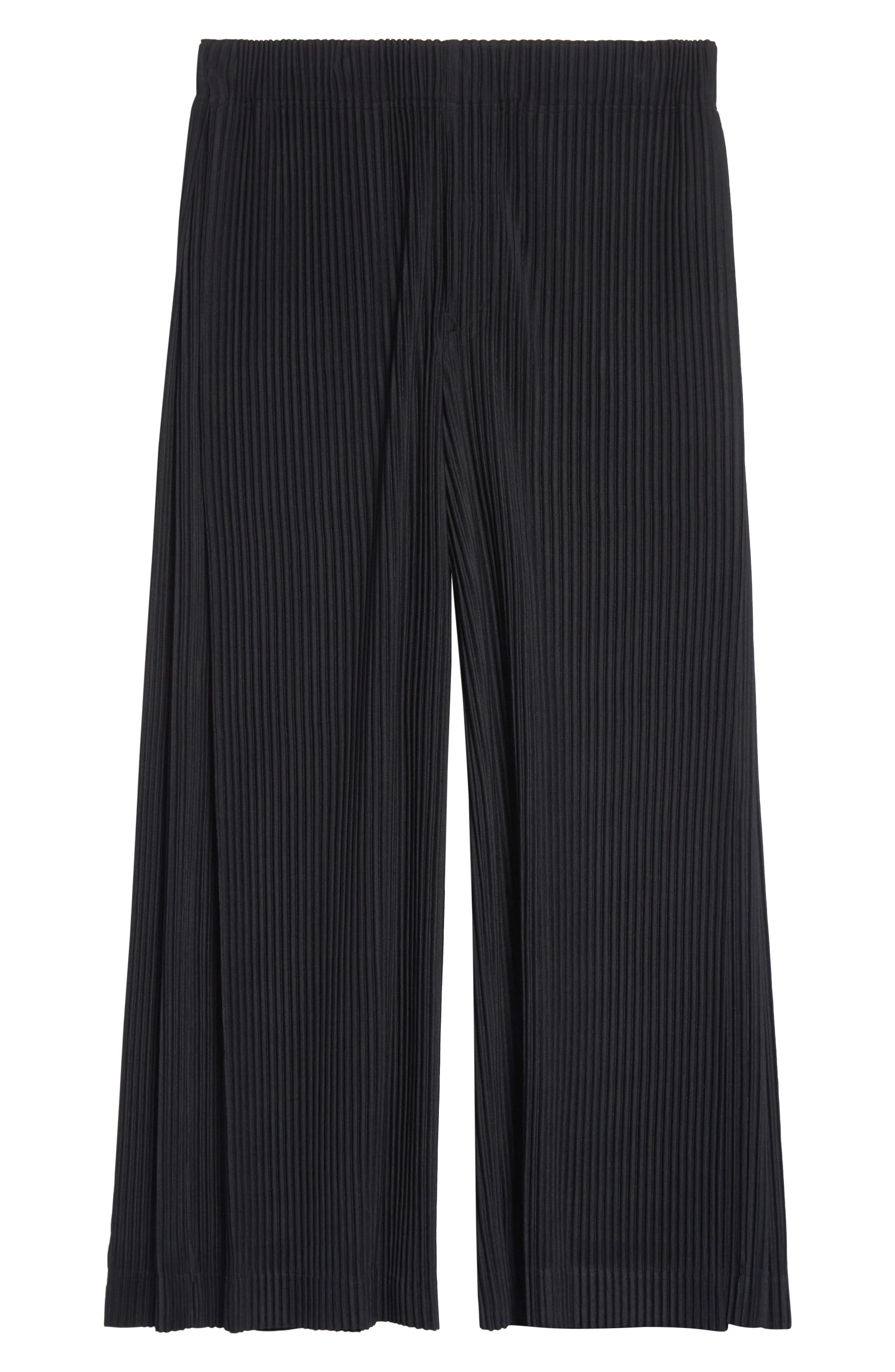 Homme Plissé Issey Miyake Monthly Colors May Pleated Wide Leg Pants in Black at Nordstrom - 6