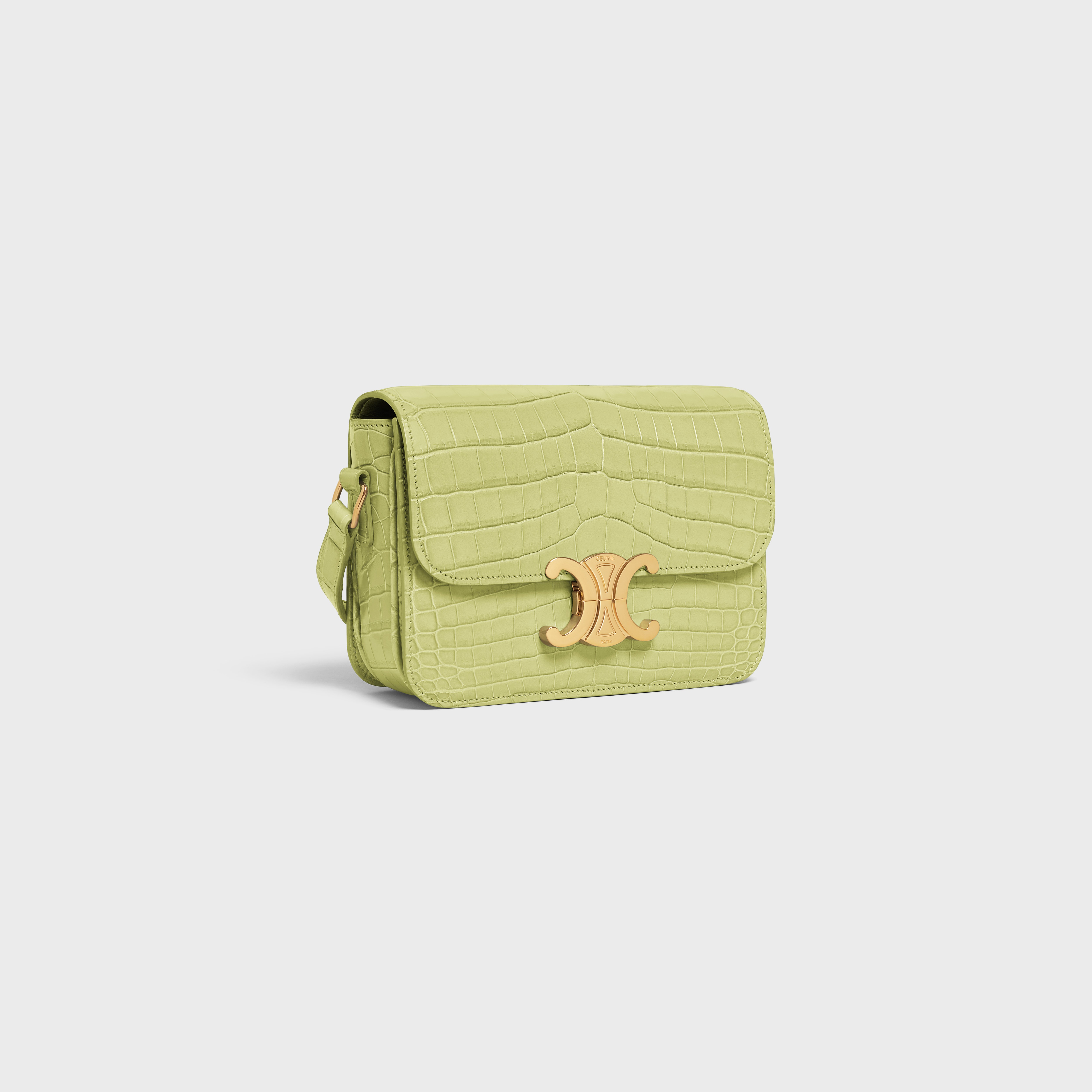 Teen Triomphe Bag in Crocodile - 2