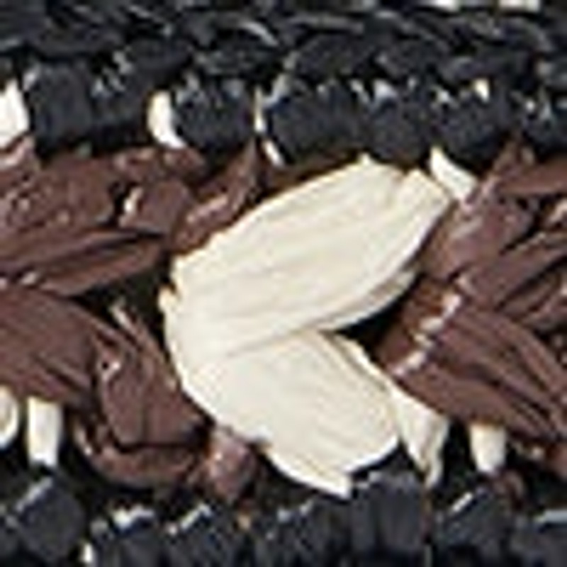 The Row Ana Belt in Raffia outlook
