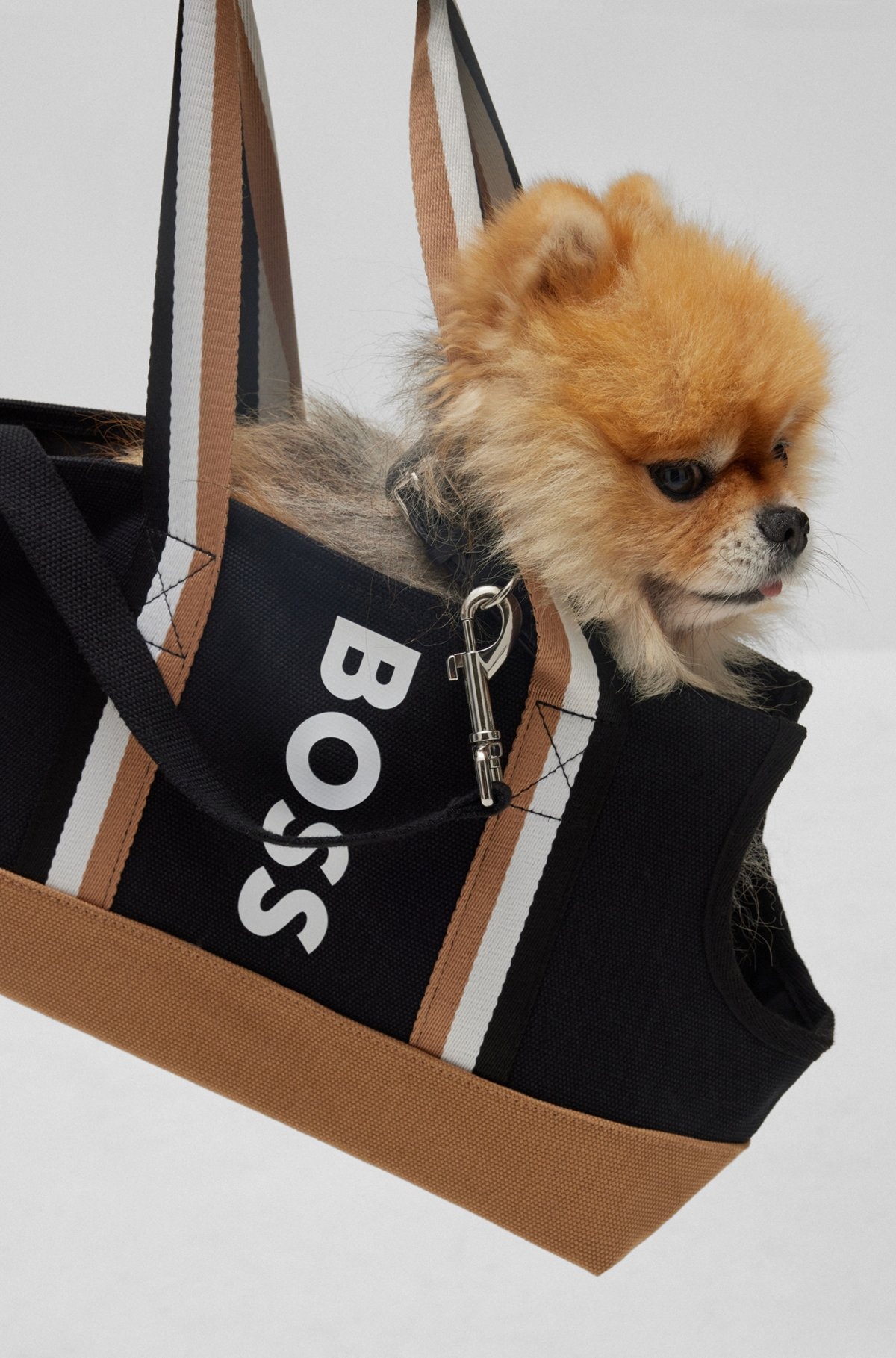 LOGO COTTON-CANVAS TOTE BAG FOR DOGS - 2