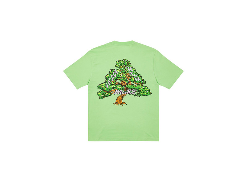 BONSAI T-SHIRT PISTACHIO - 1