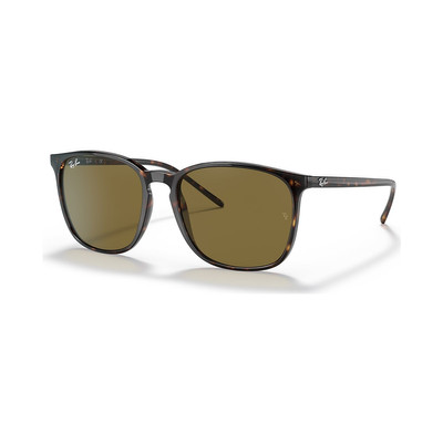 Ray-Ban RB4387F outlook