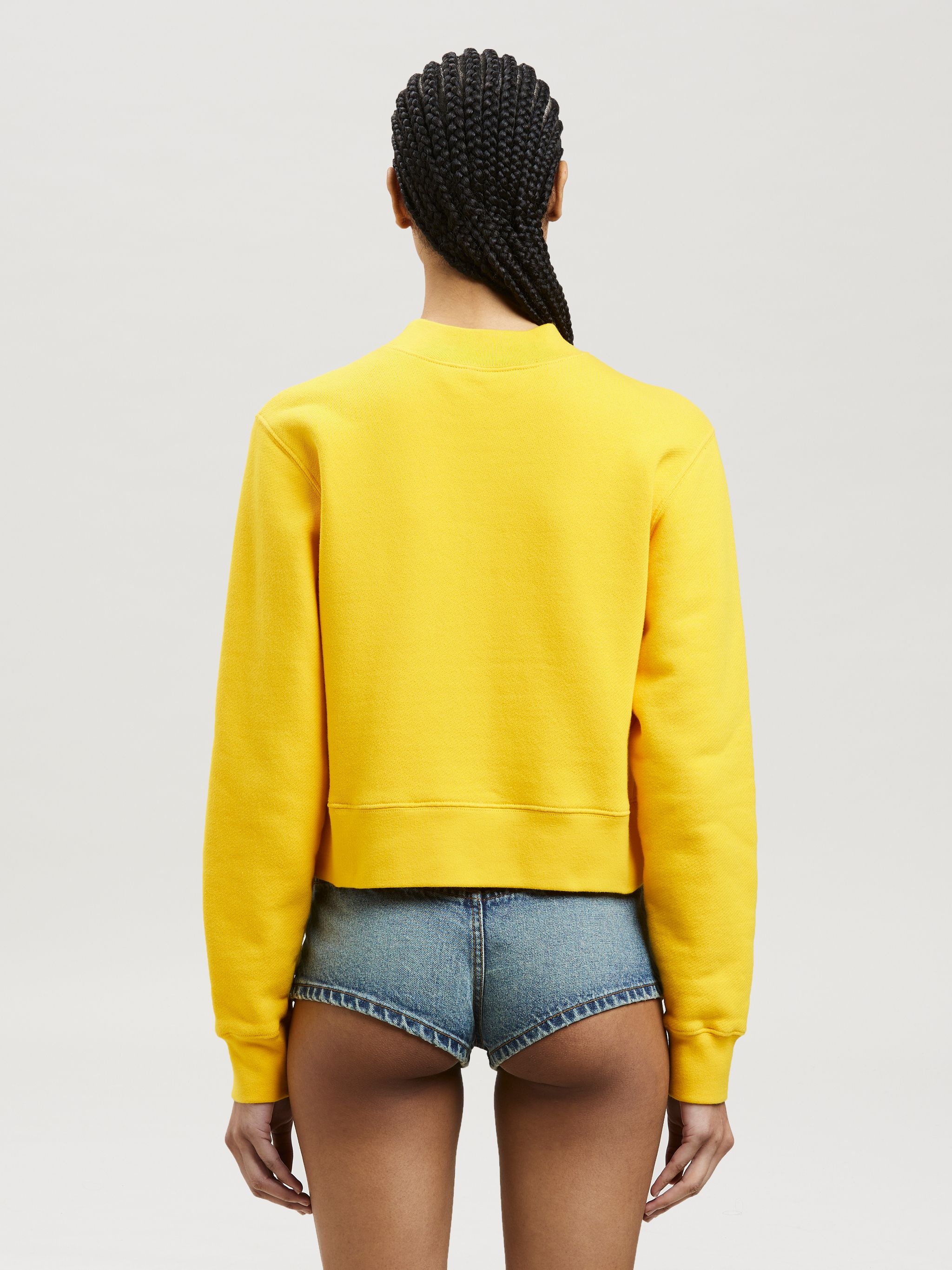 PA BEAR FITTED SWEATSHIRT - 5