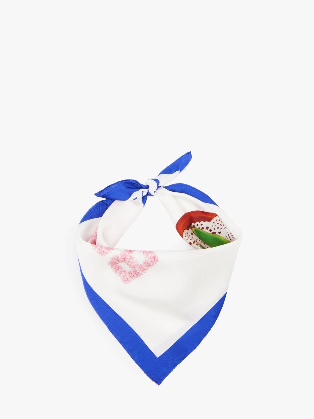 SILK SCARF - BEST IN SHOW PRINT - 2