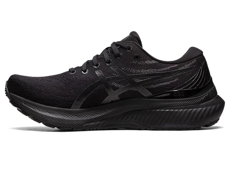 Asics GEL-KAYANO 29 outlook