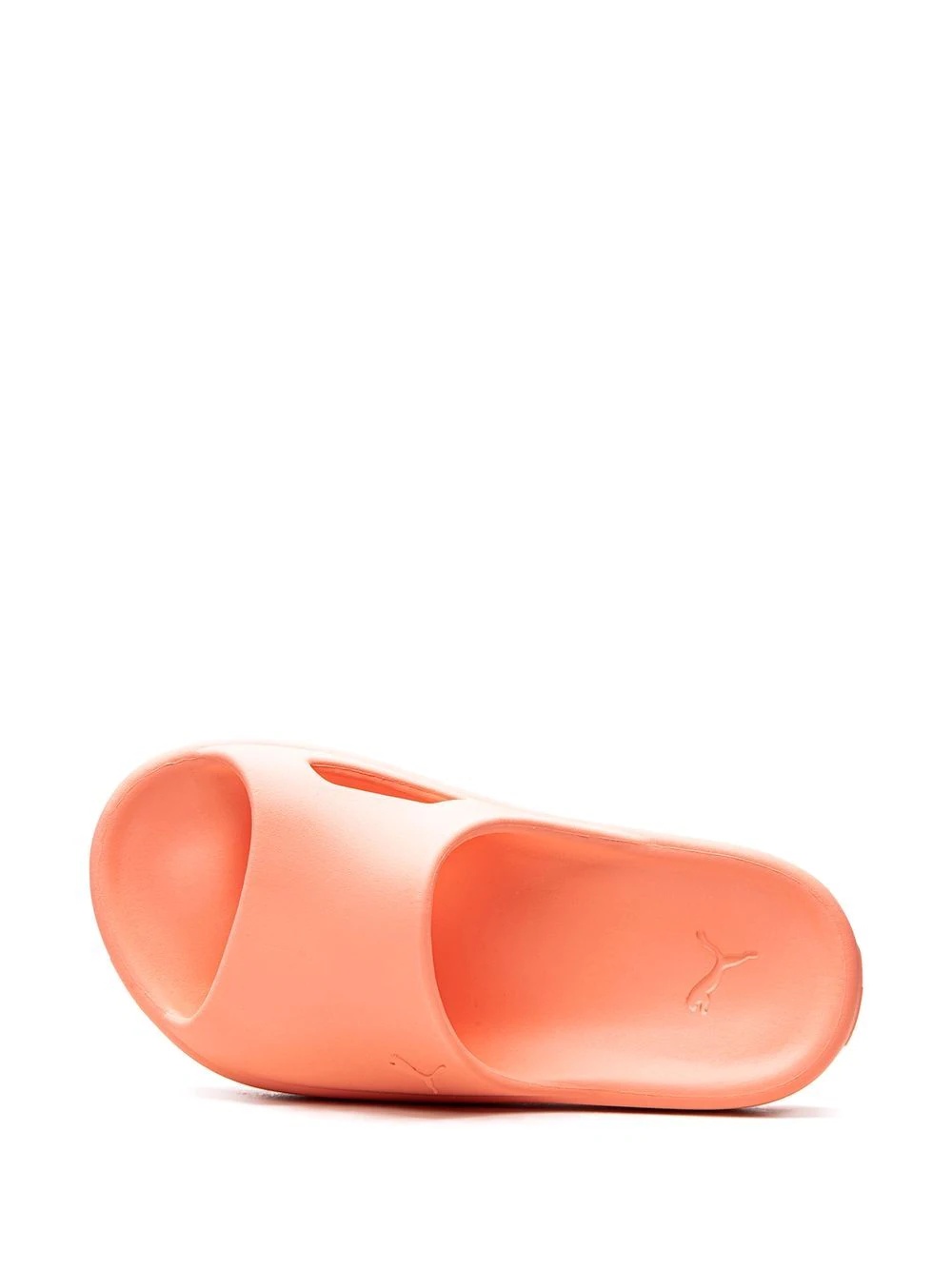 Shibui Cat slides - 4