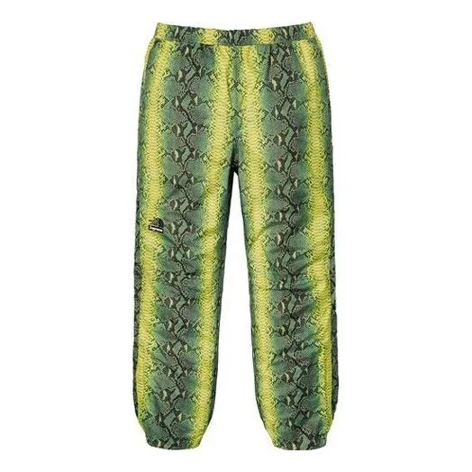 Supreme SS18 The North Face Snakeskin Taped Seam Pant Green SUP-SS18-387 - 1