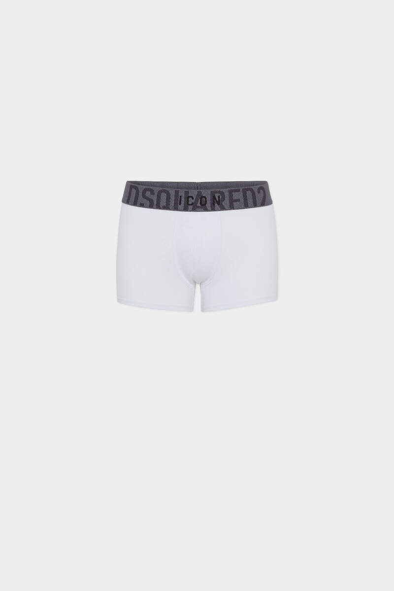ICON TRUNK - 1