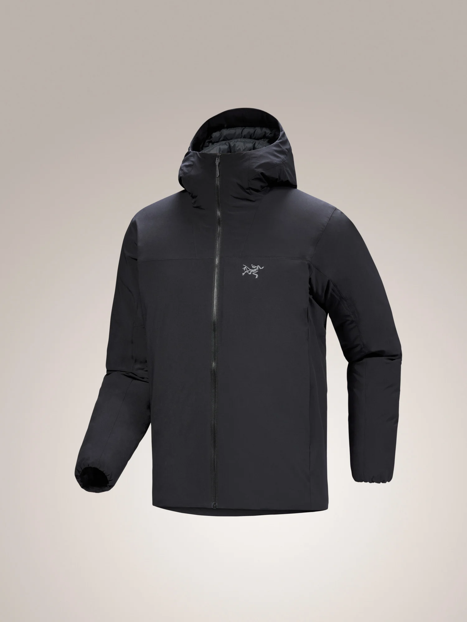Epsilon Down Hoody - 1