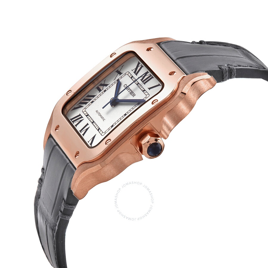 Cartier Santos Medium Model Silvered Opaline Dial Automatic Ladies Watch WGSA0028 - 2