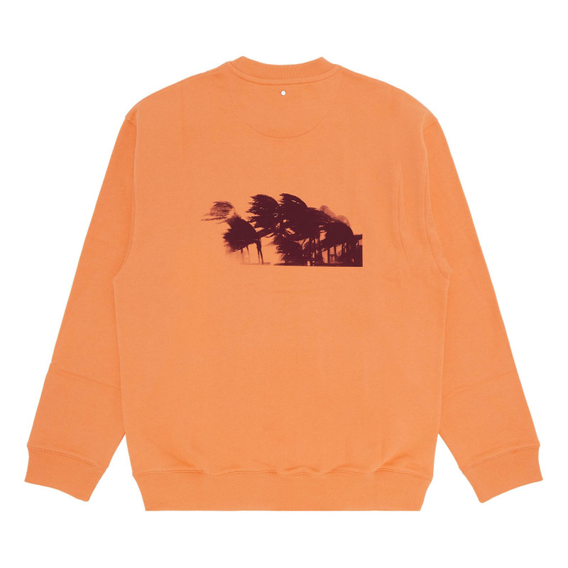 OAMC OAMC Palms Crewneck 'Copper' outlook