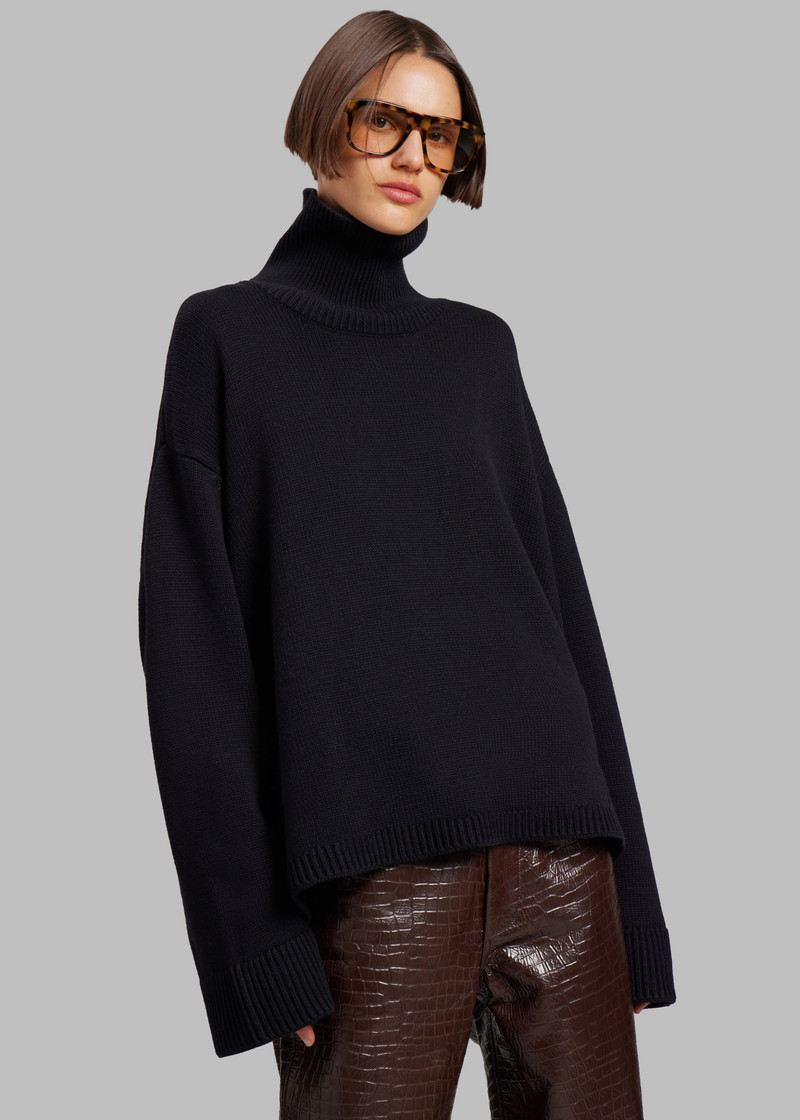 Rhea Trapeze Turtleneck - Black 13