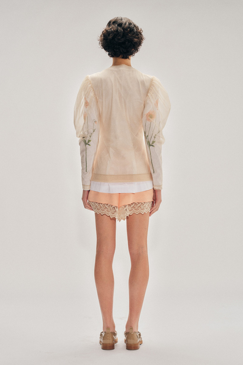 Sheer Draped Sleeve Top 3