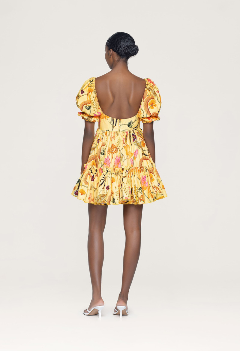 Alaria Habitat Mini Dress 4
