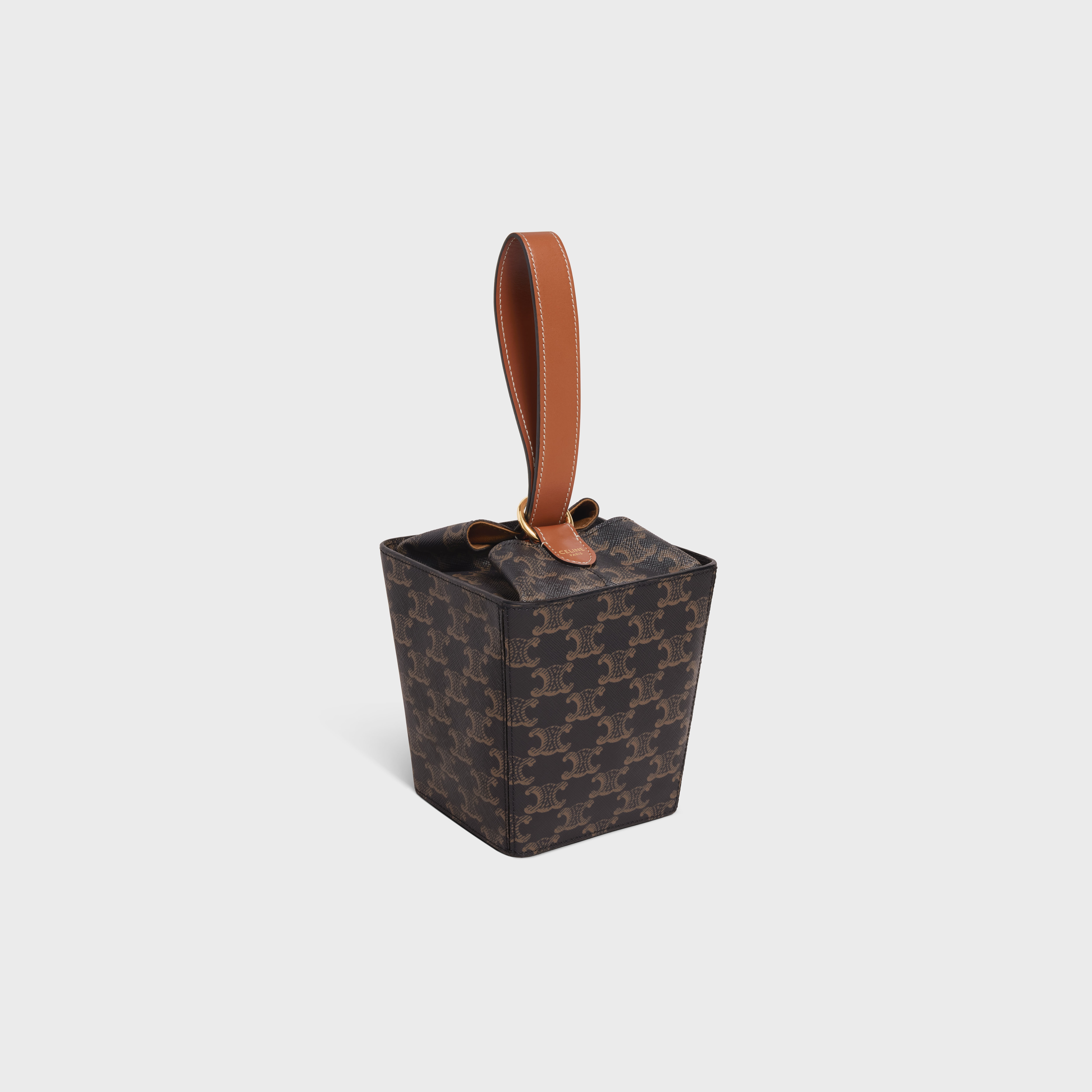 STRAP BOX in Triomphe Canvas and calfskin - 2