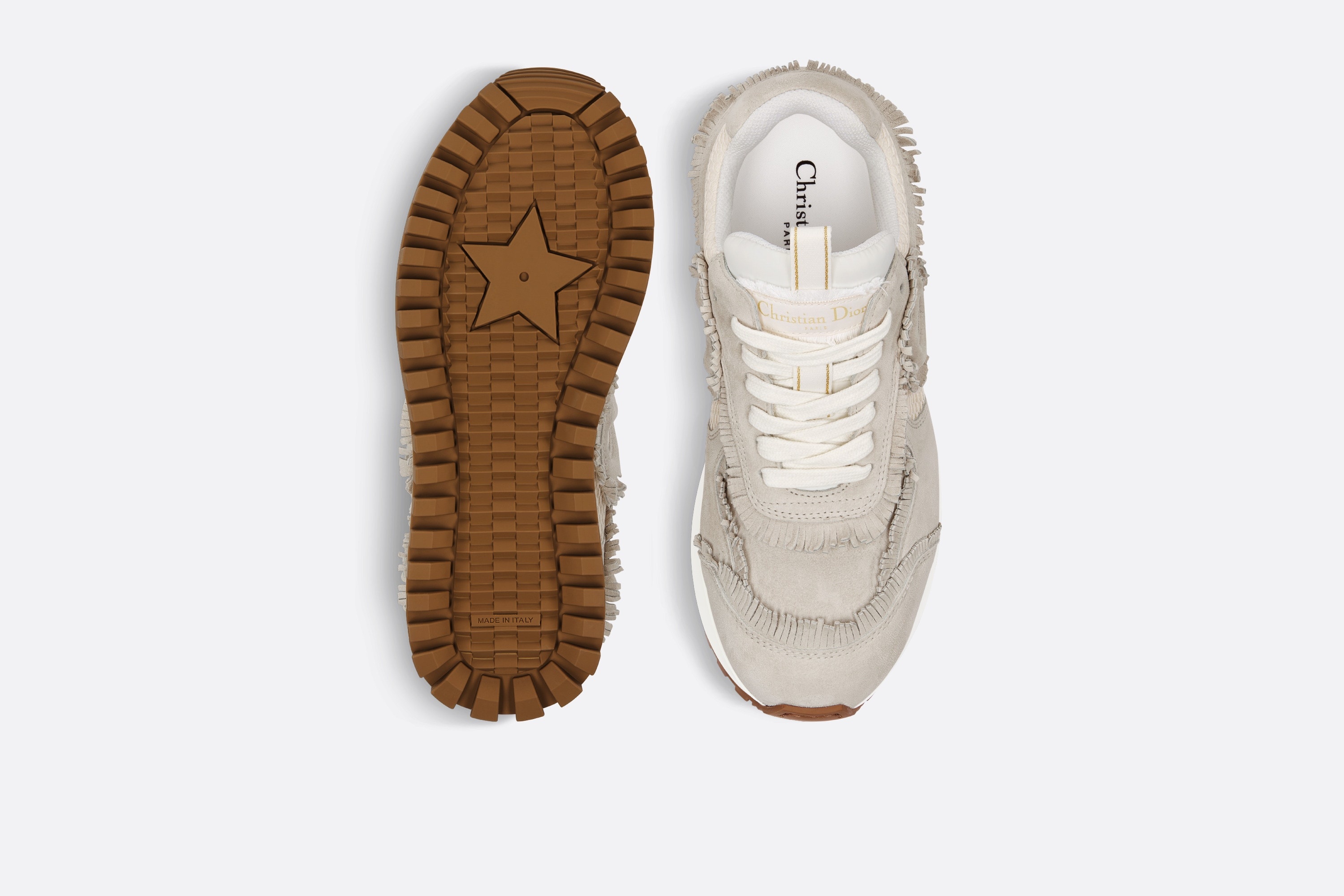 Dior C'est Dior Sneaker | REVERSIBLE
