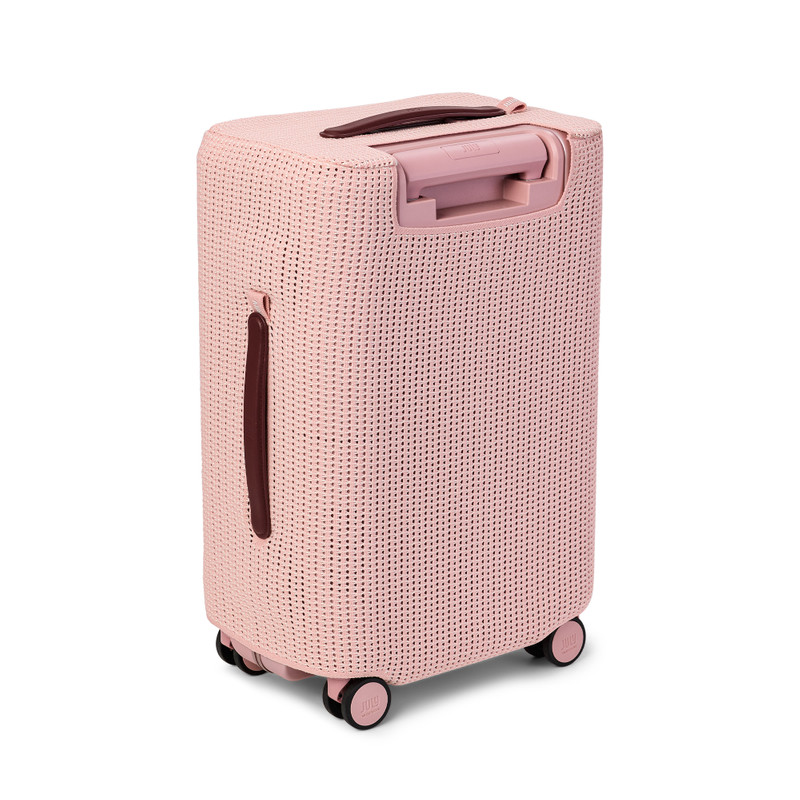 Trunk Luggage Cover - Carry On 4