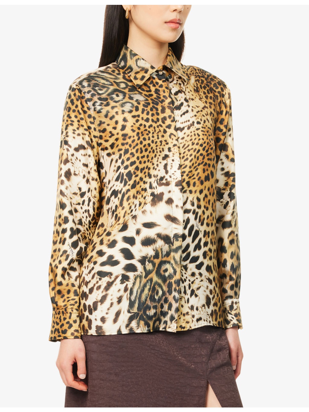 Animal-Print Long-Sleeves Silk Shirt - 3