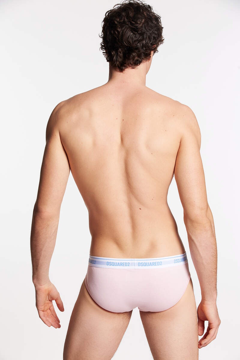 TECHNICOLOR BRIEF - 2