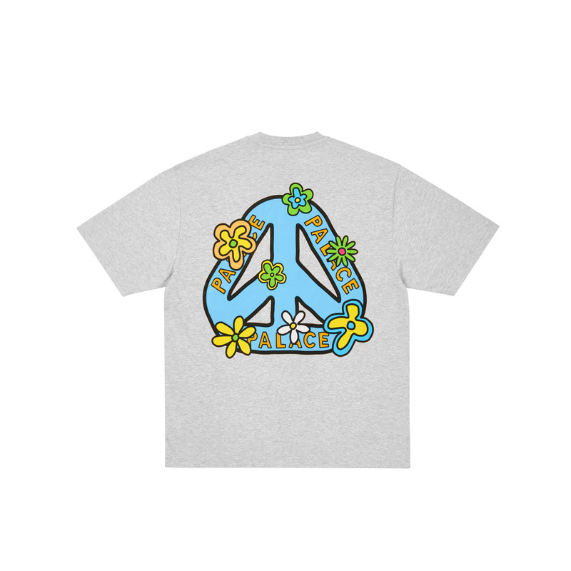 ME MYSELF AND TRI T-SHIRT GREY MARL 1