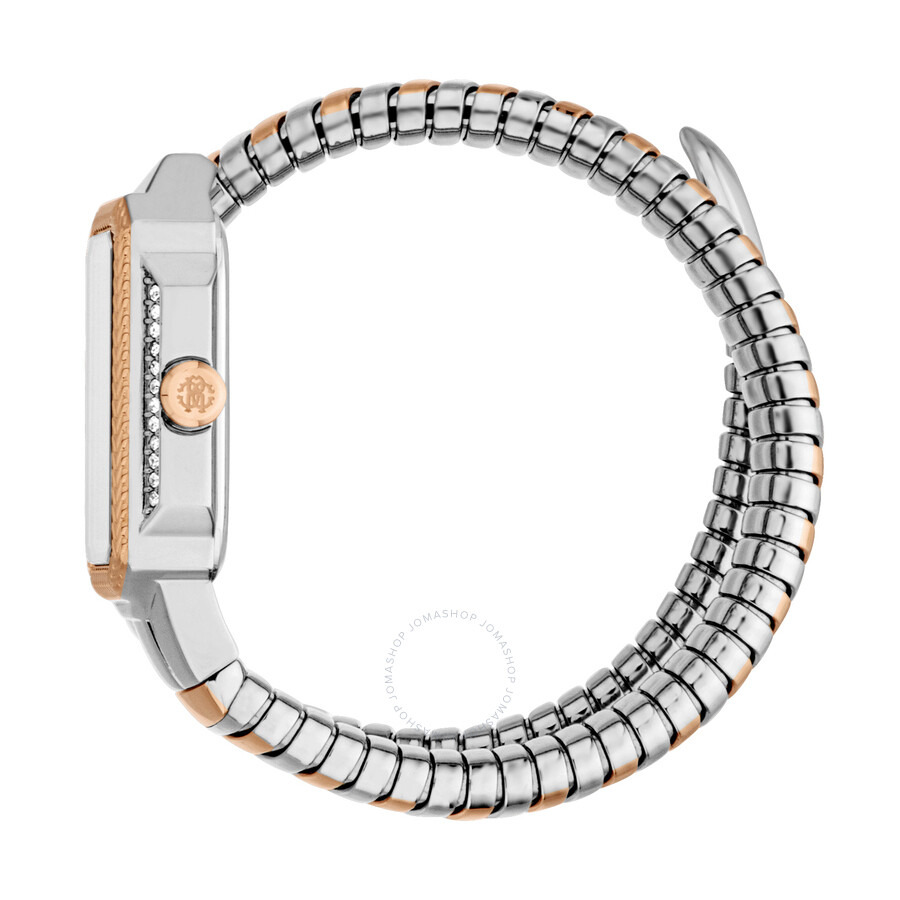 Roberto Cavalli Vera Silver-tone Dial Ladies Watch RC5L115M0075 - 3