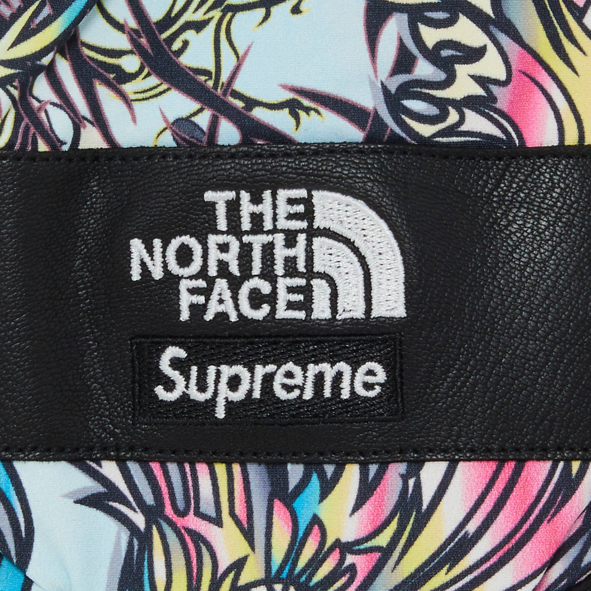 Supreme x The North Face Steep Tech Gloves 'Multicolor Dragon' - 3