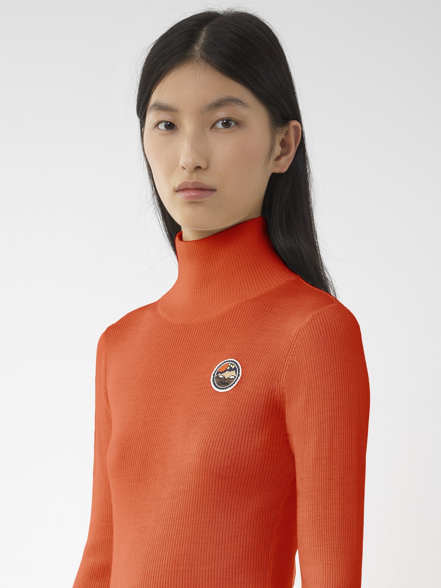 FITTED TURTLENECK TOP - 6