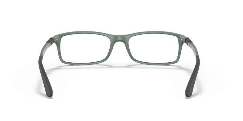 RB7017 OPTICS 6
