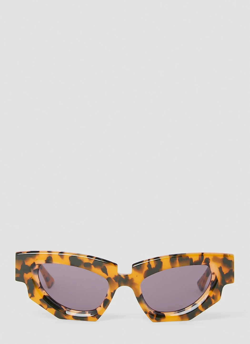 F5 Tortoiseshell Sunglasses - 1