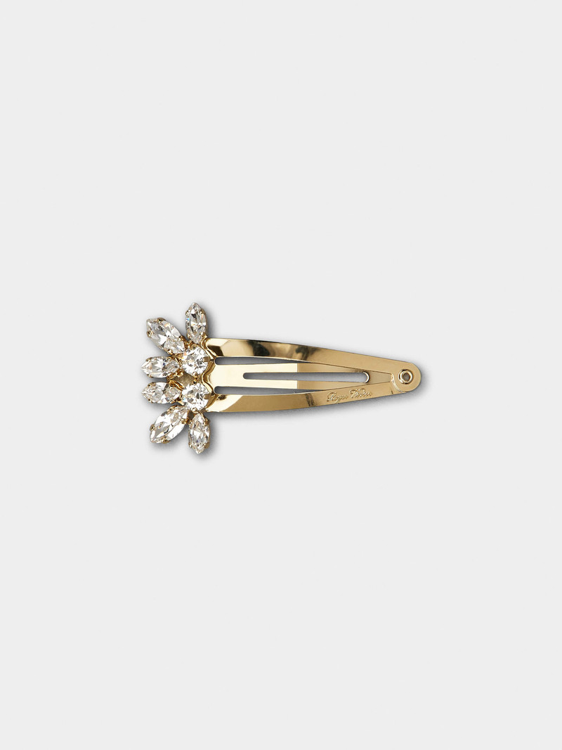 Broche Viver Hair Clip in Metal 1