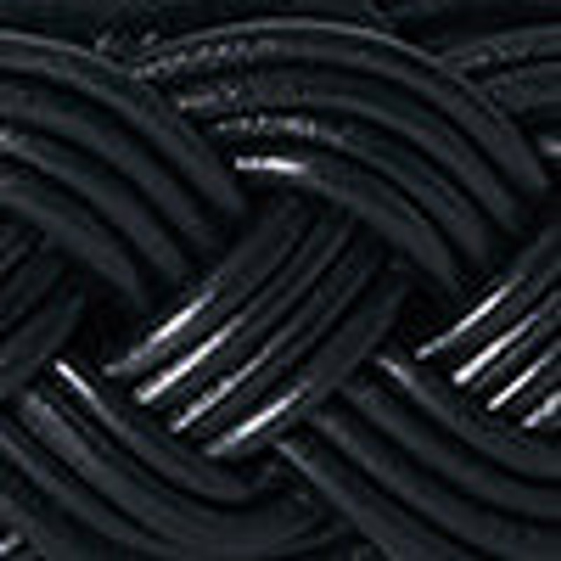 The Row Augustus Belt outlook