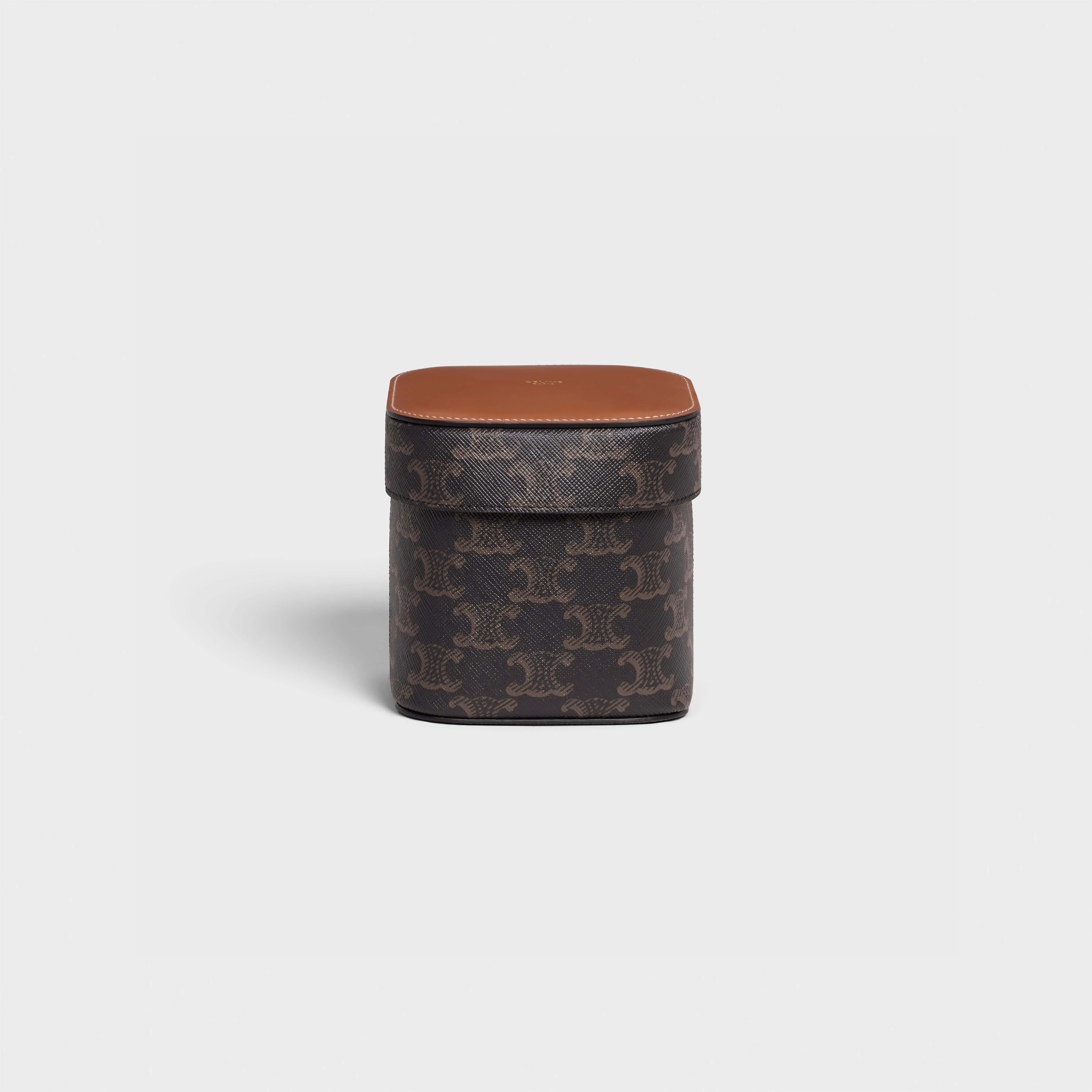 Small Box in Triomphe Canvas and Calfskin - 1