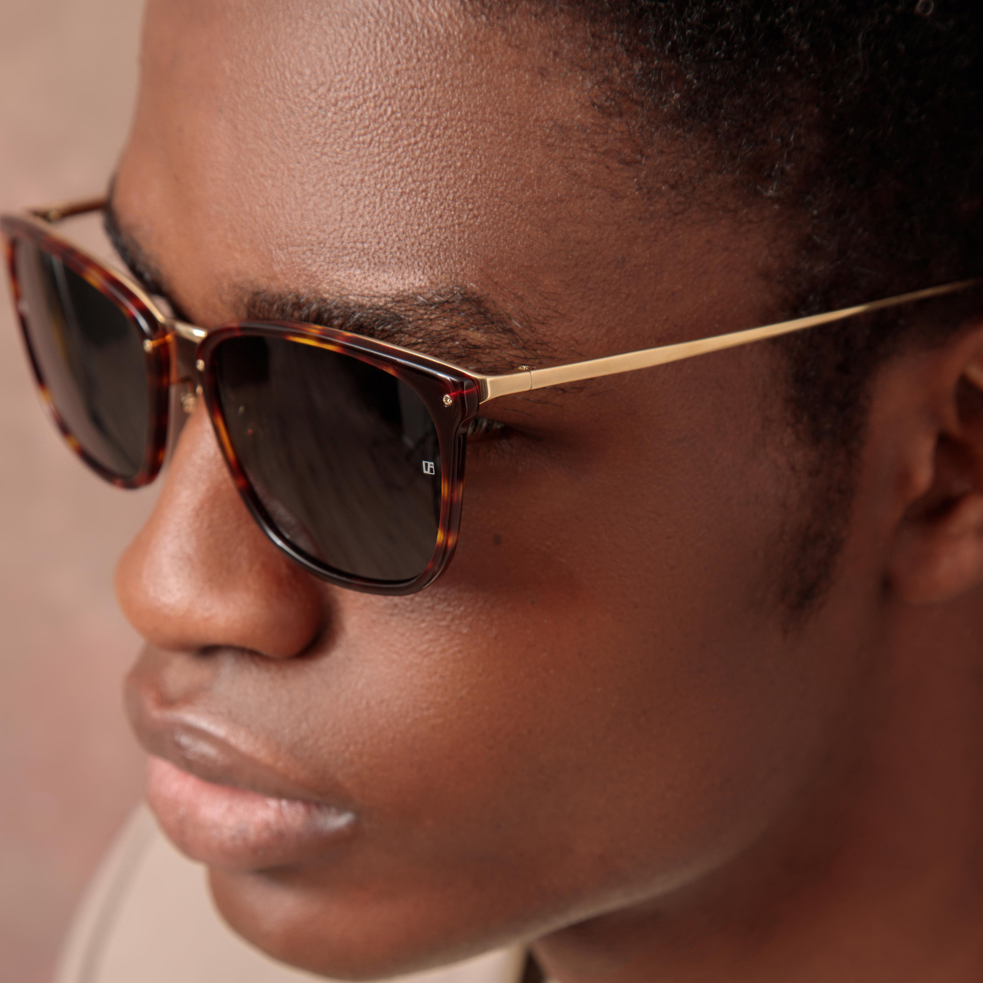 MEN'S CASSIN D-FRAME SUNGLASSES IN TORTOISESHELL - 2