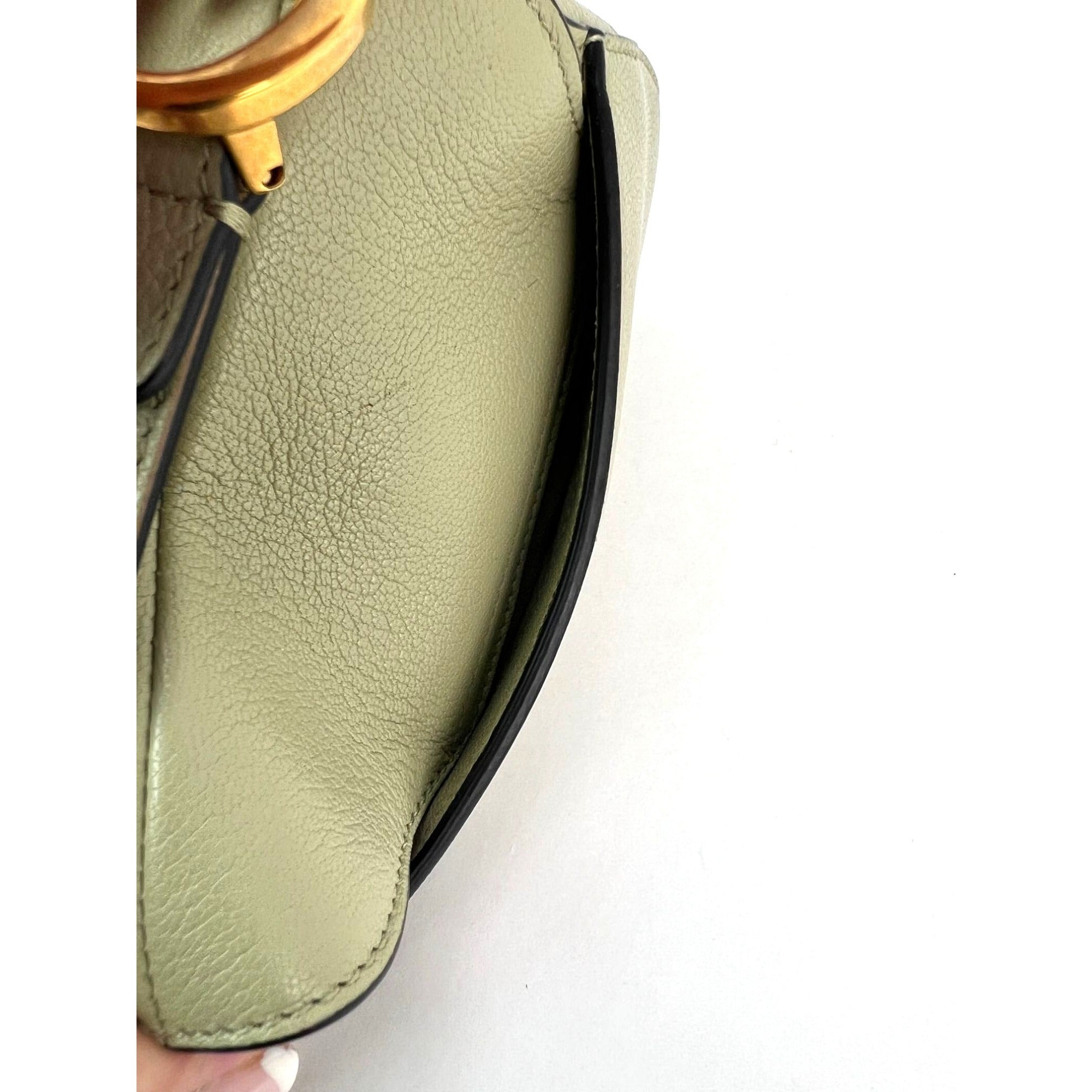 Christian Dior Goatskin Light Green Micro Saddle Bag with Strap - 13