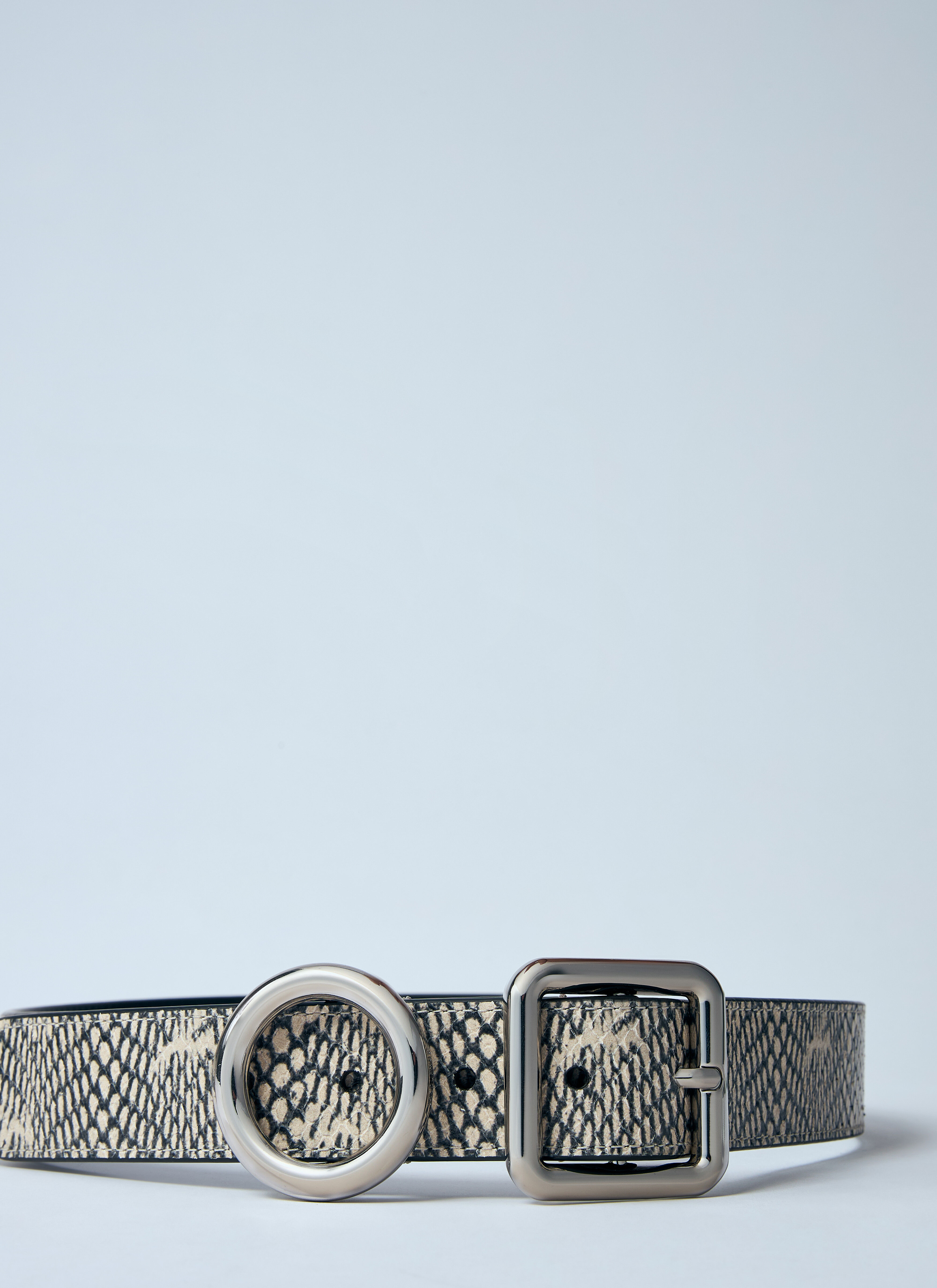 La Ceinture Regalo Belt - 2
