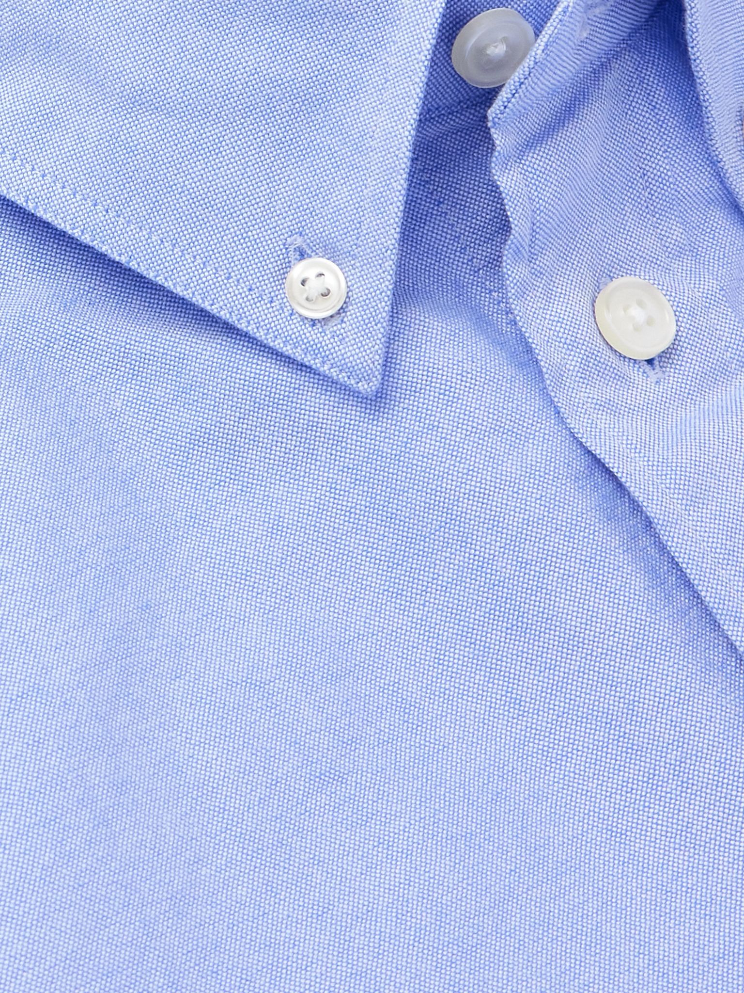 Colby 5910 Button-Down Collar Organic Cotton Oxford Shirt Blue - 4