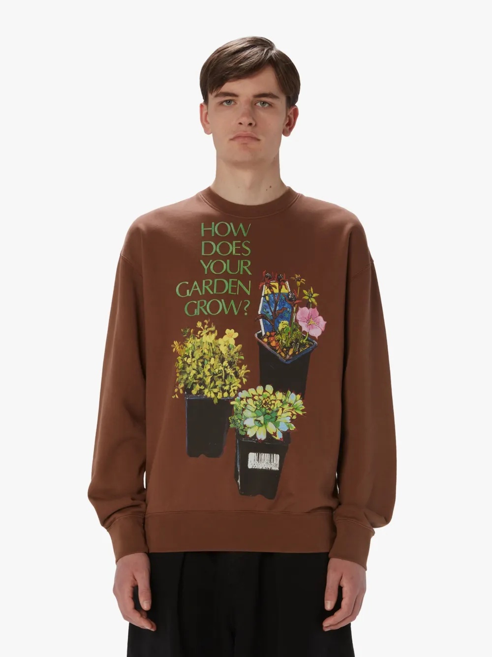 SWEATSHIRT WITH FLOWER POT PRINT - 2